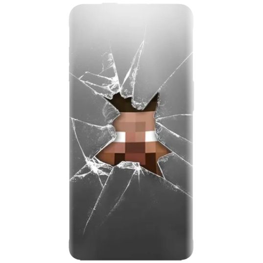 Husa Minecraft